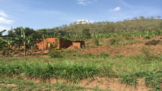 Warum Ruanda?