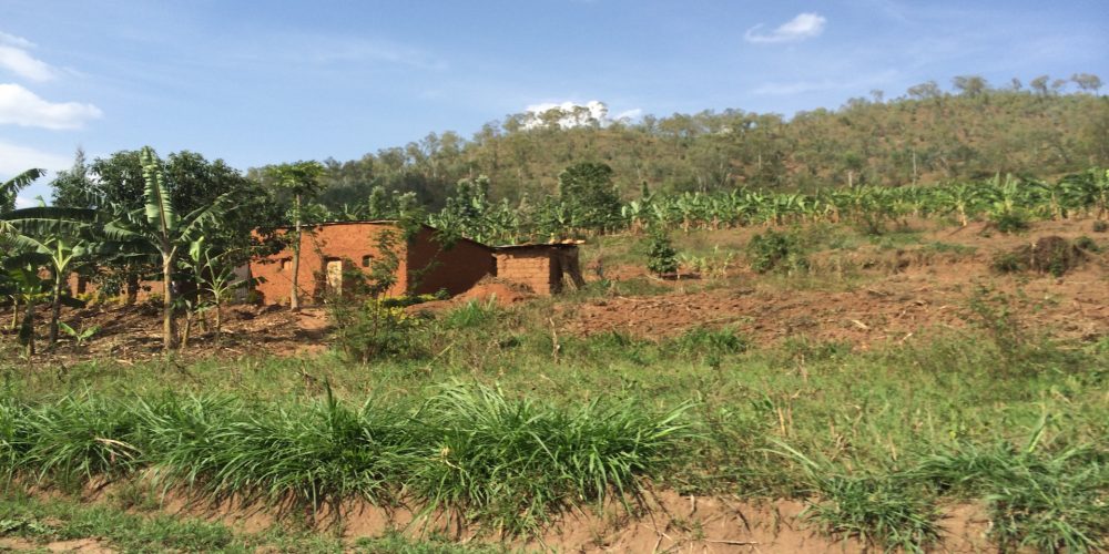 Warum Ruanda?