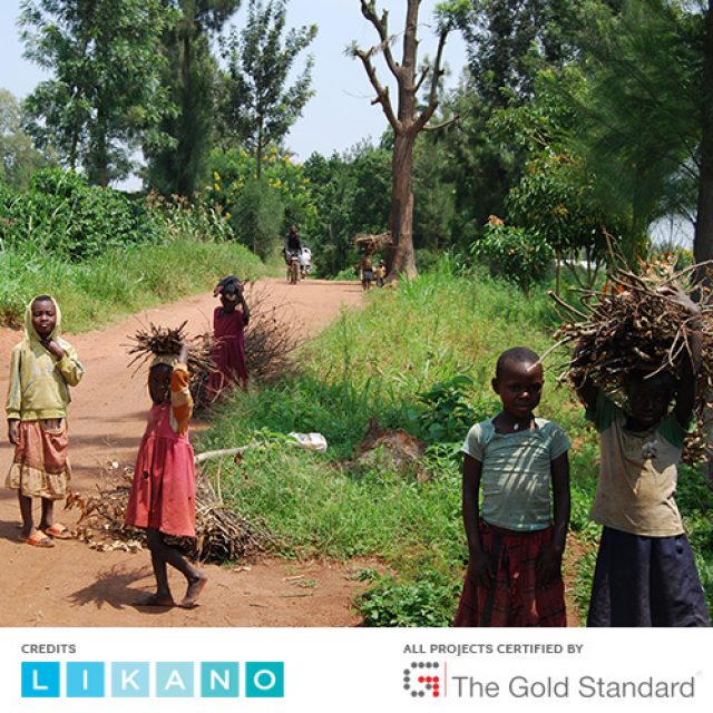 Small children have to collect firewood, too 