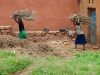 The collection of firewood is obligatory for schoolchildren